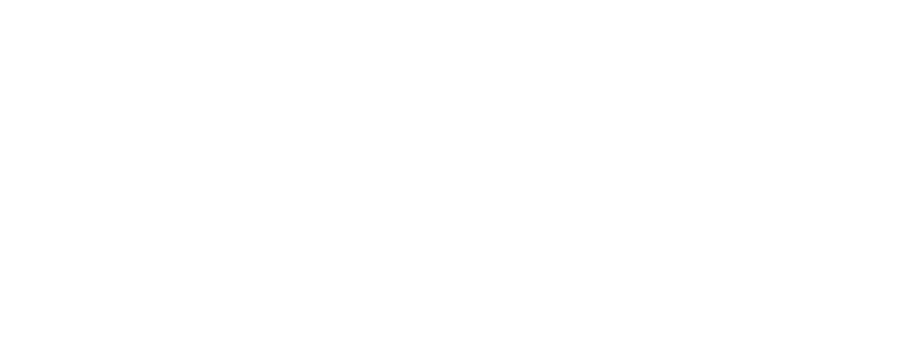 The Jackie Robinson Foundation