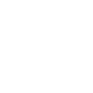 The Jackie Robinson Foundation